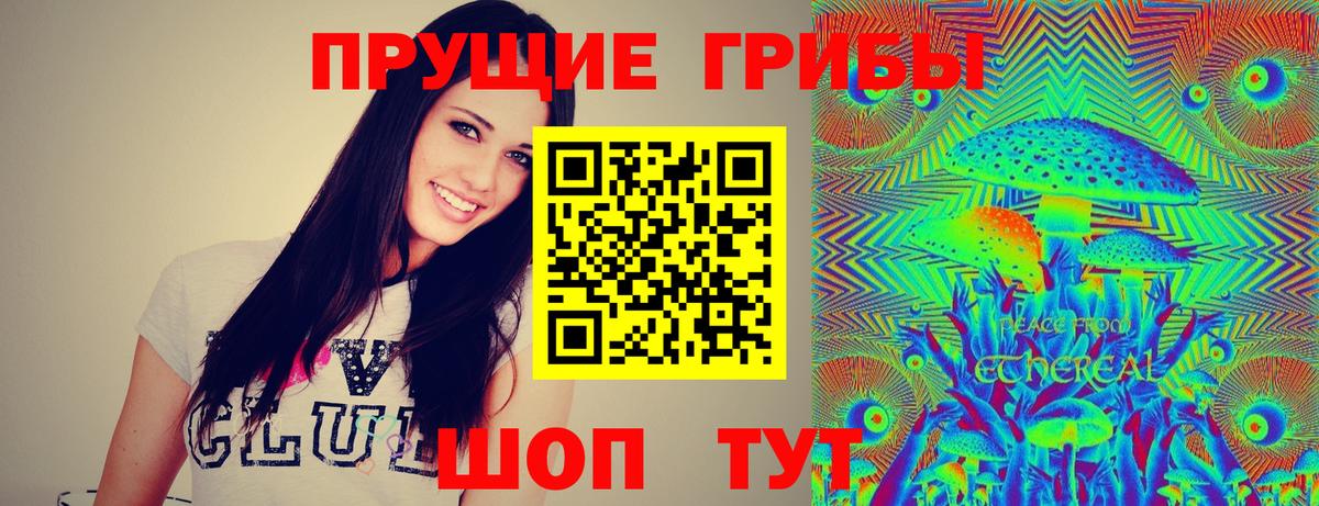 Галлюциногенные грибы GOLDEN TEACHER Сургут
